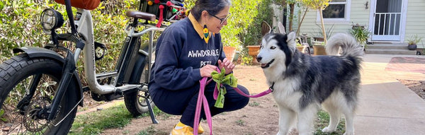 A woman greets a white and black dog in a sunny backyard alongside her RadRunner Plus.