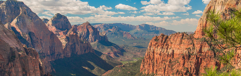 Ebikes Now Allowed in National Parks!