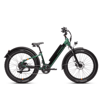 Side view of a green RadRover 6 Plus step-thru electric fat tire bike