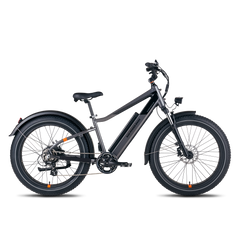 Urban Utility Ebike, Moped-style Electric Bike